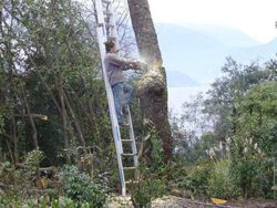 Apa Itu Safety? Kerjaan Modal Manifestasi Aman... Tanpa Persiapan