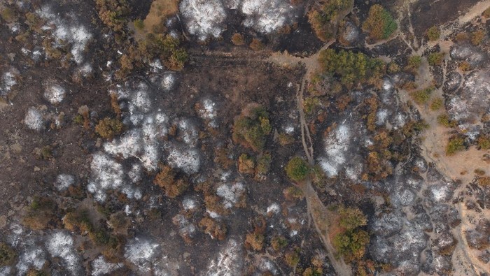 Argentina menetapkan status darurat kebakaran di wilayah Patagonia setelah angin kencang dikhawatirkan menghambat upaya pengendalian kebakaran hutan di Provinsi Chubut. REUTERS/Gonzalo Keogan