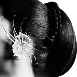 BLACKPINK Gaet Chris Martin, EJAE, & Saja Boys di Comeback Deadline