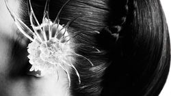 BLACKPINK Rilis Foto-foto Comeback Deadline