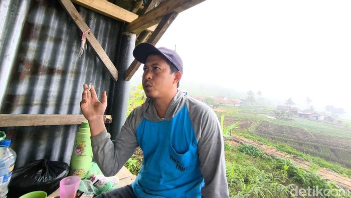 Suka Duka Dadi Bertani di Lereng Ciremai: Hadapi Cuaca Tak Menentu