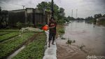 Waspada Debit Kali Bekasi Naik, Warga Babelan Pasang Tanggul Darurat