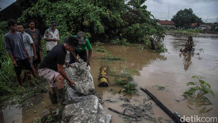 Warga memasang tanggul darurat di sepanjang bantaran Kali Bekasi di kawasan Jalan Raya Pasar Babelan, Kabupaten Bekasi, Jawa Barat, Jumat (30/1/2026).