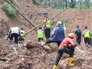 Petani Korban Longsor Pemalang Ditemukan Tewas
