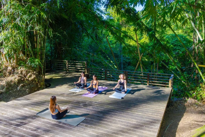 Wellness Tourism Ubah Bali Jadi Ruang Hidup Seimbang