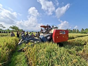 NTB Bakal Dijadikan Sentra Produksi Pangan Nasional