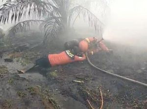 2 Relawan Alami Sesak Napas saat Padamkan Karhutla di Rasau Jaya