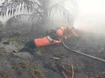 2 Relawan Alami Sesak Napas saat Padamkan Karhutla di Rasau Jaya