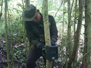 Aneka Satwa Dilindungi Ditemukan BBKSDA Jatim di Hutan Kota Trenggalek