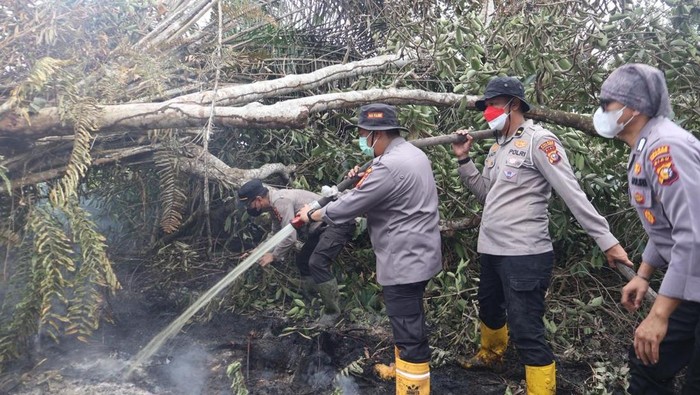 Lahan 4 Hektare di Pelalawan Terbakar, Polisi Turun Padamkan Api