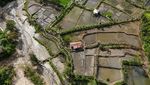 Ribuan Hektare Sawah Direvitalisasi Usai Rusak Diterjang Banjir Bandang