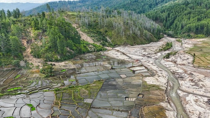 Foto udara kondisi area persawahan yang mengalami kerusakan di Kampung Palok, Kecamatan Blangkejeren, Kabupaten Gayo Lues, Aceh, Kamis (29/1/2026). Pemerintah melalui Kementerian Pertanian tengah melakukan revitalisasi untuk ribuan hektare sawah yang terdampak banjir bandang melalui skema padat karya yang ditargetkan akan rampung selama tiga bulan kedepan. ANTARA FOTO/Raisan Al Farisi/bar