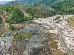Kementan Siapkan Rp 336 M untuk Rehabilitasi Sawah Terdampak Banjir di Sumatera