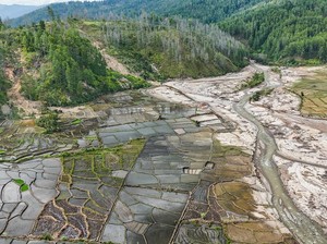 Kementan Siapkan Rp 336 M untuk Rehabilitasi Sawah Terdampak Banjir di Sumatera