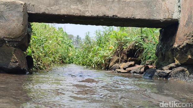 Sawah Jambansari yang berada di pusat kota Ciamis..