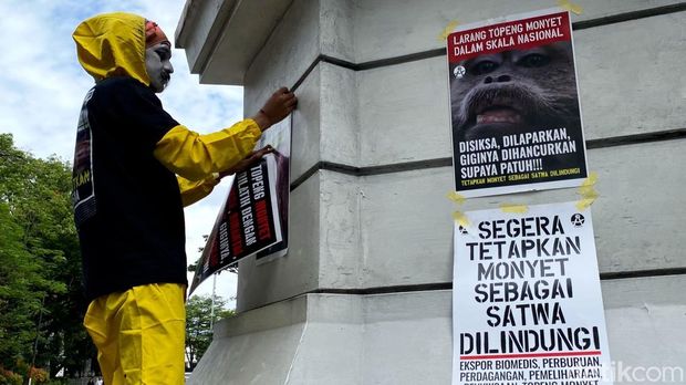 Seniman Pantomim Bandung Wanggi Hoed minta monyet ekor panjang jadi satwa dilindungi. Seniman Pantomim Bandung Wanggi Hoed minta monyet ekor panjang jadi satwa dilindungi.
