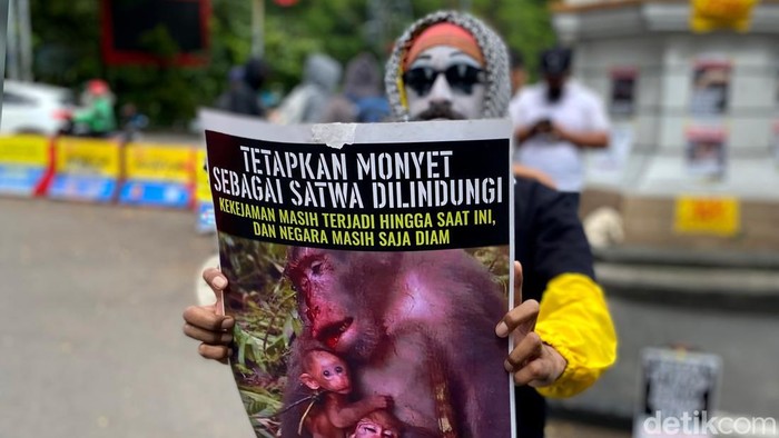 Aksi Mimer Bandung Serukan Monyet Agar Jadi Hewan yang Dilindungi