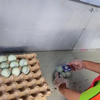 Telur asin La New City