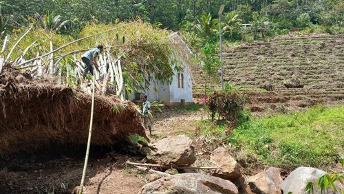 Bangunan homestay di wisata Air Terjun Cunca Rami, Desa Wisata Golo Ndaring, Kecamatan Sano Nggoang, Manggarai Barat, NTT, rusak tertimpa rumpun bambu, Sabtu (31/1/2026). (Foto: Dok. Istimewa)