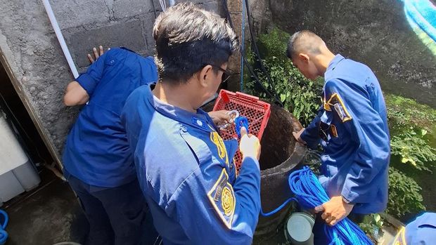 Damkar Klaten menyelamatkan seekor kucing dari sumur di Desa Brajan, Prambanan, Klaten, Sabtu (31/1/2026).
