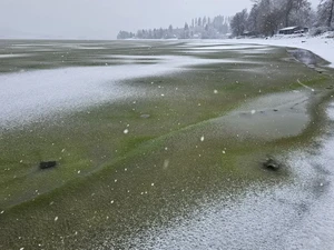 Fenomena Aneh Es di Danau Berubah Jadi Hijau