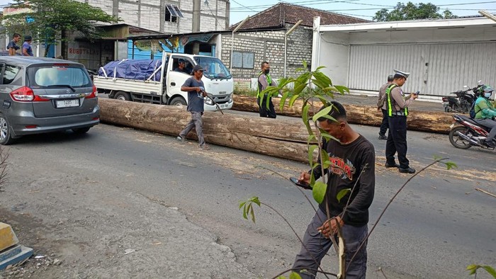 Kayu Gelondongan Besar Jatuh dari Truk ke Jalan Raya Driyorejo Gresik