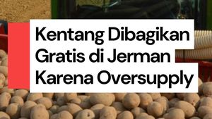 Video: Mau Kentang Gratis? Ke Jerman Aja!