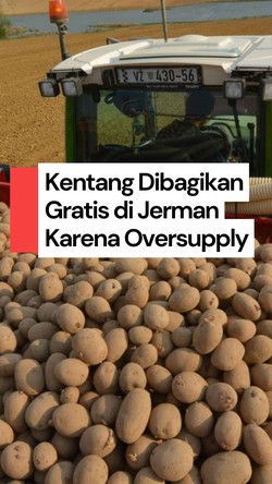 Video: Mau Kentang Gratis? Ke Jerman Aja!