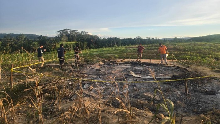 Walhi Sultra Desak Bupati Konsel Tanggung Jawab soal 50 Rumah Tani Dibakar