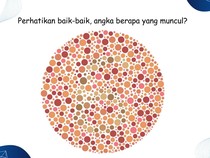 Yakin Penglihatan Normal? Butuh Kekuatan Mata Super Buat jawab Soal Ini Jika Buta Warna