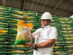 Harga Beras SPHP Tak Naik Walau Dolar AS Menguat, di Kalimantan Rp 13.100/Kg
