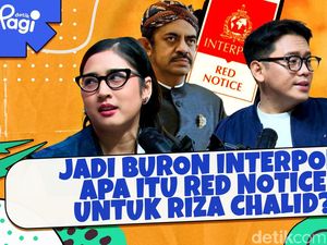 Jadi Buron Interpol, Apa Itu Red Notice Untuk Riza Chalid?