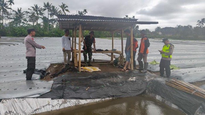 Gubuk tempat 6 buruh tani tersambar petir di Desa Gandatapa, Kecamatan Sumbang, Kabupaten Banyumas, Minggu (1/2/2026).