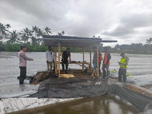 6 Buruh Tani di Banyumas Tersambar Petir Saat Berteduh, 1 Tewas