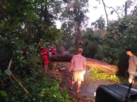 Penampakan dampak hujan lebat disertai angin kencang yang melanda sejumlah titik di Kabupaten Sleman. Foto diunggah Minggu (1/2/2026).