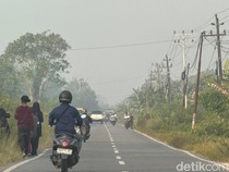 Kabut Asap Selimuti Pontianak, PAUD-TK Libur dan SD-SMP Masuk 08.00 WIB