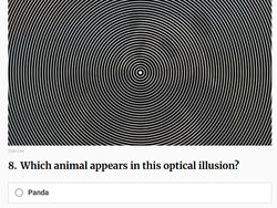 Mari Tes Fokus Otakmu, Kira-kira Bisa Jawab 10 Ilusi Optik Ini Tidak?
