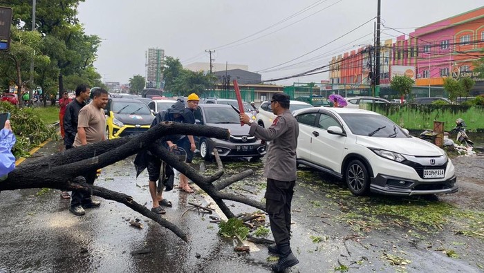 Pohon Tumbang Tutup Jalan Perintis Kemerdekaan Makassar Picu Macet
