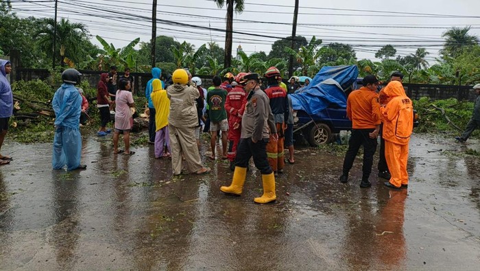 Pohon tumbang di Jalan Ir Sutami Makassar timpa pedangan (Foto: Dok. BPBD Makassar)