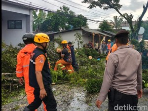 Amukan Angin Kencang Tumbangkan Mahoni hingga Timpa Warung di Tasik