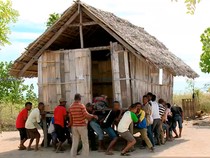 Witi Orin, Tradisi Memindahkan Rumah dengan Tenaga Manusia di Flores NTT