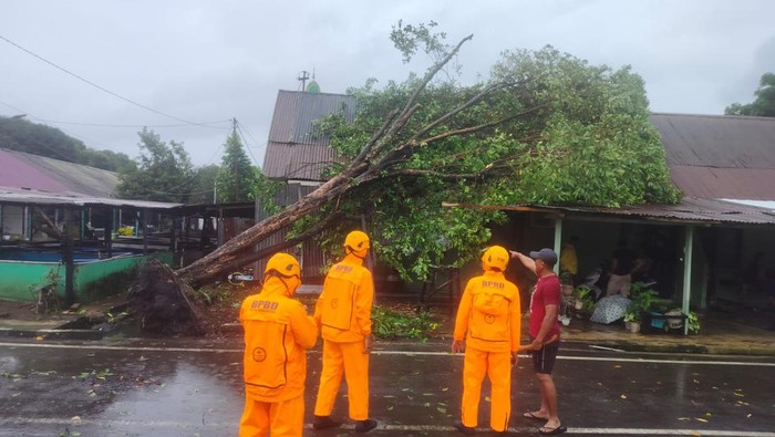 Sebuah rumah di Asrama Yon Armed di Jalan Mappaoddang Makassar tertimpa pohon tumbang.