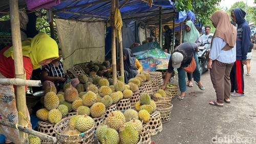 Sejumlah warga tampak memilih durian di salah satu lapak pedagang durian yang ada di Karang Bayan, Lingsar, Lombok Barat, Minggu (1/2/2026).