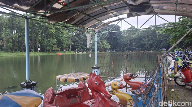 Situ Jatijajar di Depok