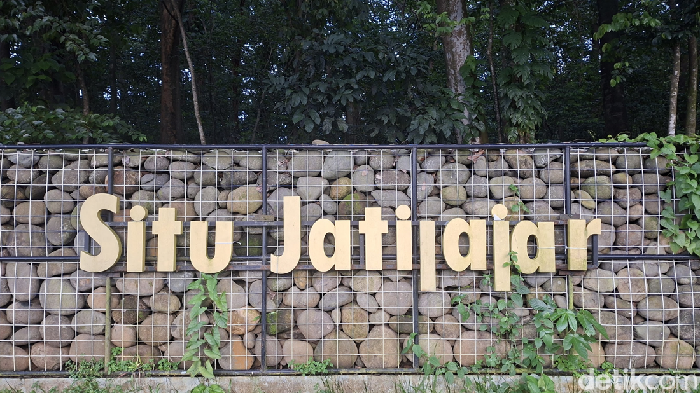 Wisata Murah Meriah di Depok, Keliling Situ Jatijajar Naik Perahu Bebek Rp 20.000