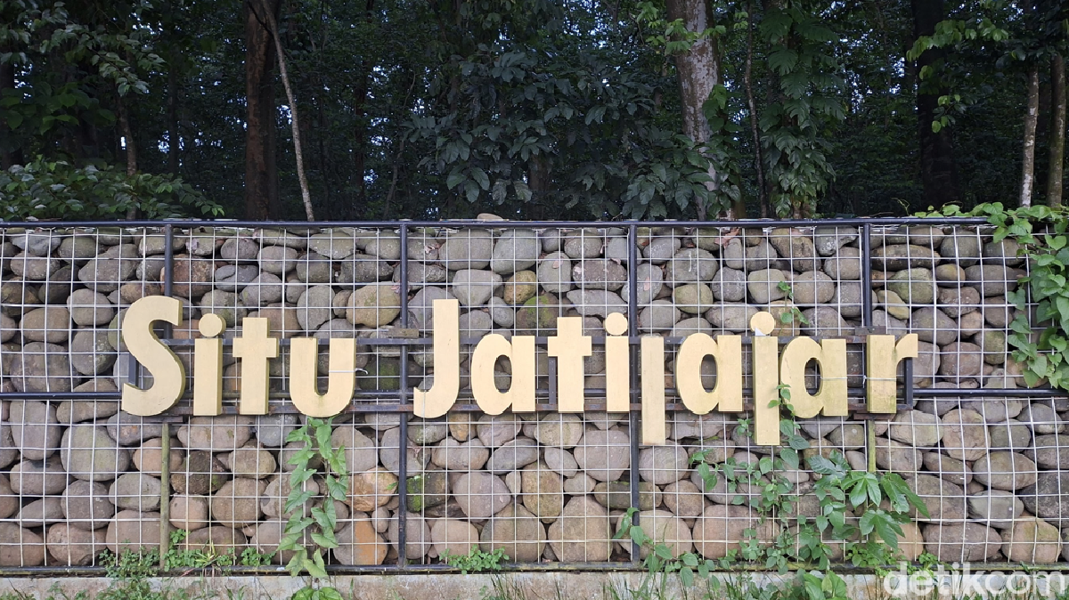 situs togel online Wisata Murah Meriah di Depok, Keliling Situ Jatijajar Naik Perahu Bebek Rp 20.000