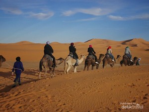 Membelah Pegunungan Bersalju Menuju ke Hamparan Gurun Pasir Sahara