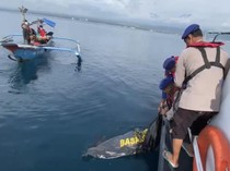 Video Penemuan Mayat di Selat Bali, Diduga Korban KMP Tunu Pratama
