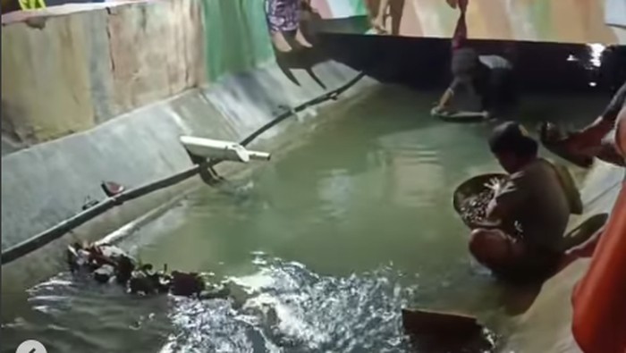Video viral warga Pamekasan berburu potongan emas di parit depan rumah orang.