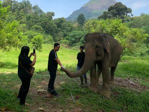 Pusat Pelatihan Gajah Bukit Serelo yang Sajikan Keindahan Alam-Edukasi Satwa